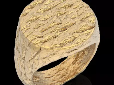Rock ring   gold jewelry 3D printable model 3D print model