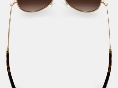 Raider Sunglasses in Polished Gold 3D model