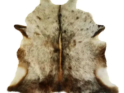 Nine Rugs From Animal Skins 10 3D model