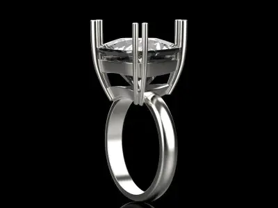 Ring 80028 3D print model