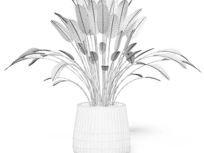 Plant 3D Model in White Pot 3D model