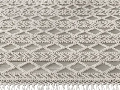 MiiiM Woven Rug 02 3D model