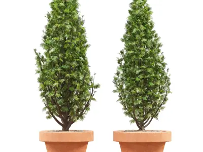 Vase Cypress Free 3D model