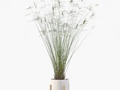 Plants collection 046 3D model