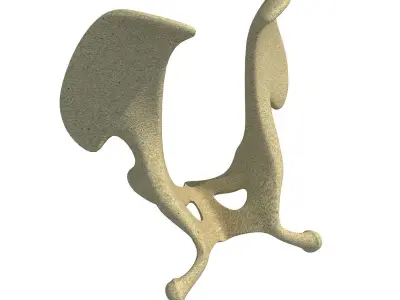 Camel Animal Pelvis  3D model