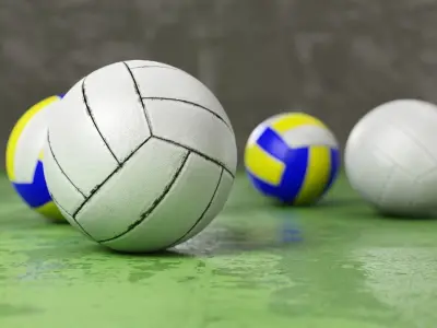 Volleyball set with 4 types material 3D model
