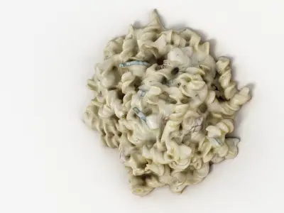 Pasta In Creamy Sauce 3D model