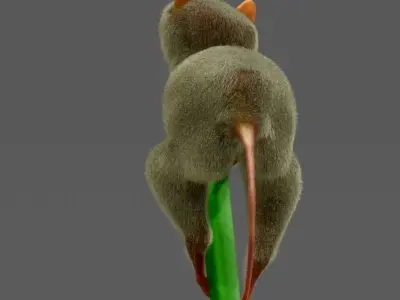 Philippine tarsier 3D model