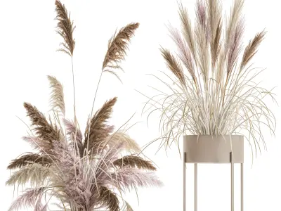 Decorative Bouquet of dried pampas grass 196 3D model