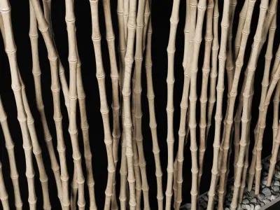 Bamboo thin branch decor n3  3D model