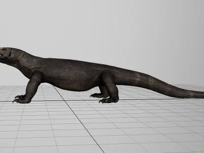 dragon komodo 3d model 3D model