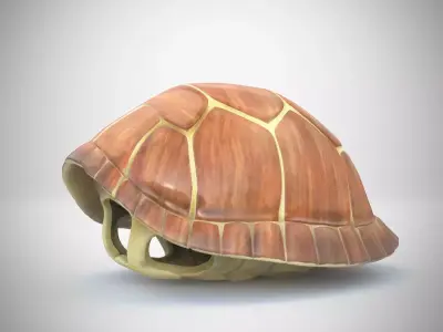 Turtle brown shell Mock-up 3d Model 3D model