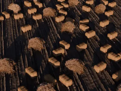 Hay Field Free 3D model