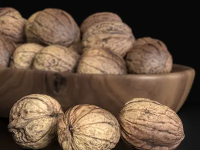 Walnut set walnuts in bowl 3D model