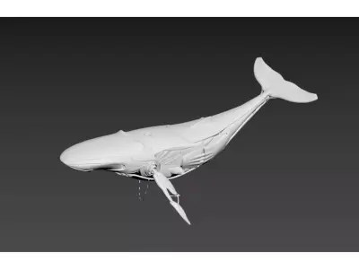 mechanical whale 3D model