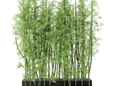  Indoor Plants Bamboo Set in rusty Concrete Pots - Set 7 3D model