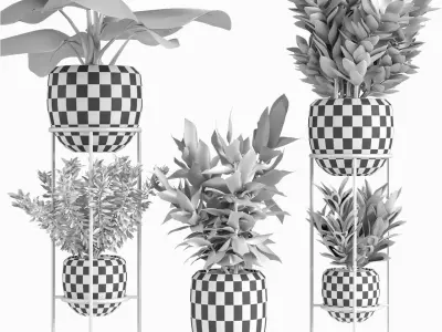 Collections Plants 07 3D model