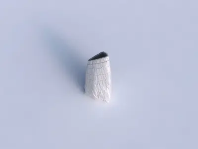 Vase tipped triangle with chaotic plates 3D print model