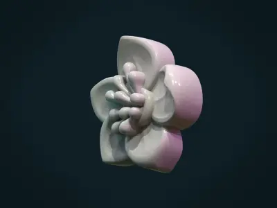 Apple flower 3D print model