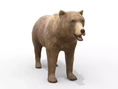 Animated Brown Bear Low-poly 3D model