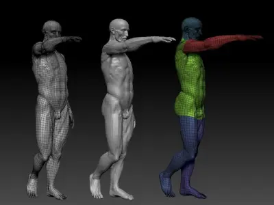 Houdon Ecorche  3D model