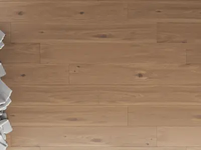 Wood Floor Oak Princeton Brushed 3D model