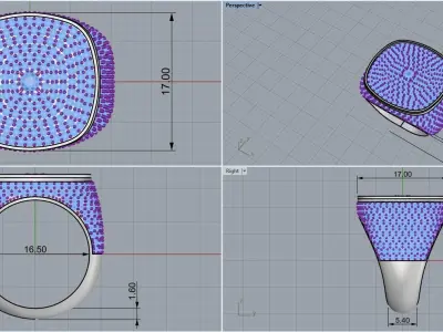 Cushion form ring model 648 3D print model