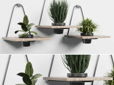 wall plant  set Indoor plant 279 metal wall vase 3D model