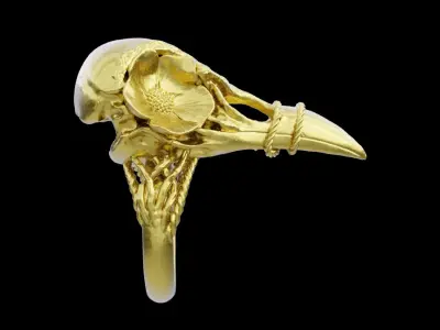 Bird Ring 3D print model