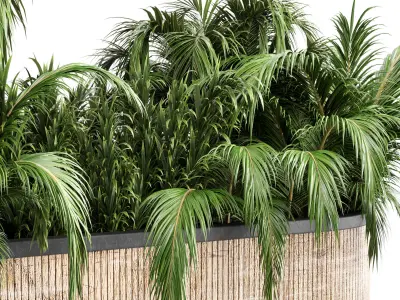 collection Indoor plant palm 40-bax wood vase Low-poly 3D model