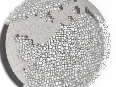 Coral Wall Sculpture 3D model