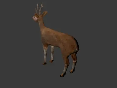 Roe Deer Stag - game model Low-poly 3D model
