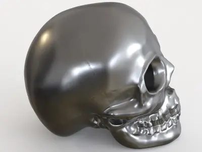 Skulls silver skull 3D model