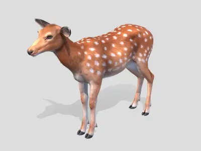 Deer - Doe Low-poly 3D model