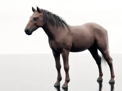 Horse - Realistic Low-poly 3D model