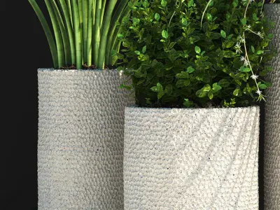 plants set 129 3D model