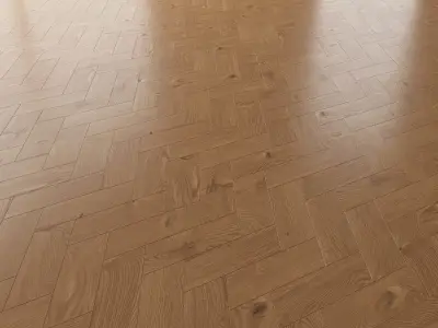 Parquet Oak Nut WWL set 5 3D model