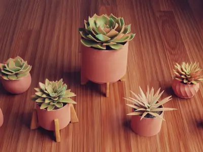 Collection of Succulent Plants  Plants Vol 03 Low-poly 3D model