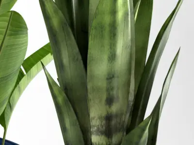 plants set 138 3D model