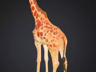 Realistic Giraffe 3D Model High Detail Safari Animal Low-poly 3D model