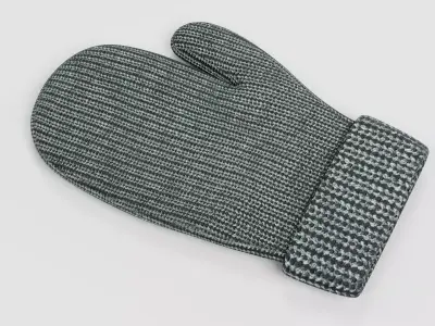 -Winter Glove- 3D model