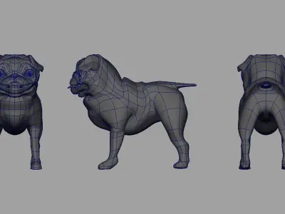 bulldog 3d model pug dog Low-poly 3D model