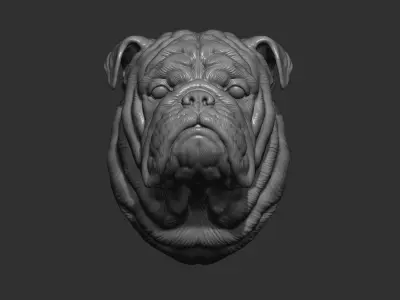English bulldog bust 3D print model
