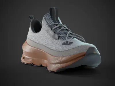 High quality Sneaker Model 3D model