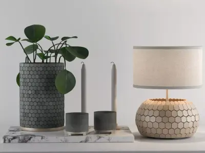 Decorative Set with Desert Privet Plant 3D model