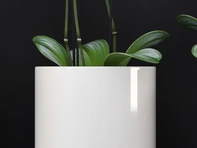 Orchid flower pot with in it 3D model