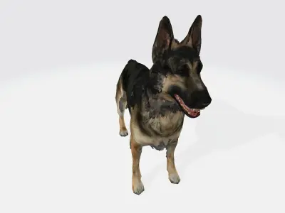 German shepherd 3D model