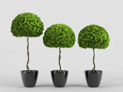 Three plants 3D model