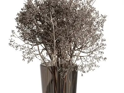 Dry branch Plant in a Glass vase - Bouquet 77 3D model