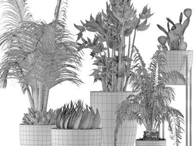 Plants Collection 24 3D model